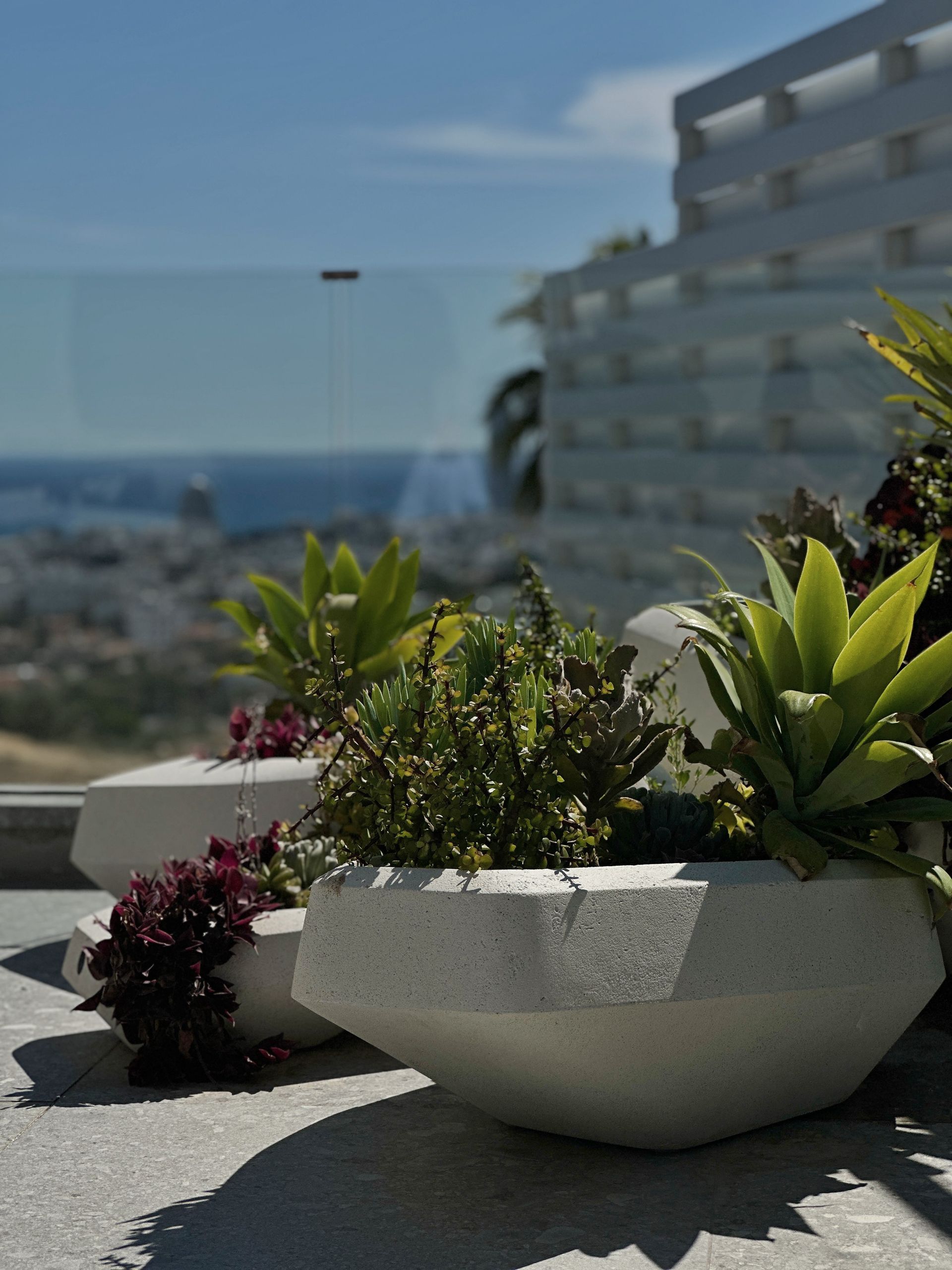Succulents in geometric white planters on a patio overlooking a city and ocean on a sunny day.