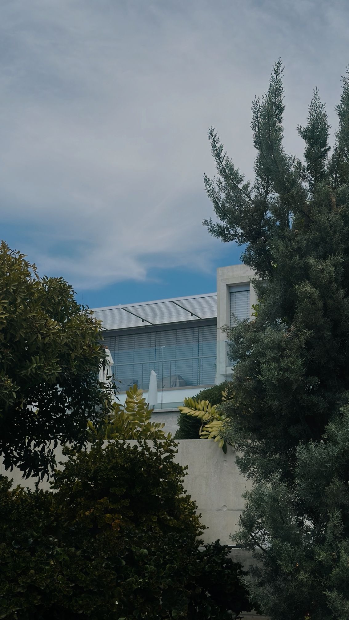 Building with a glass roof, seen through trees, against a cloudy sky.