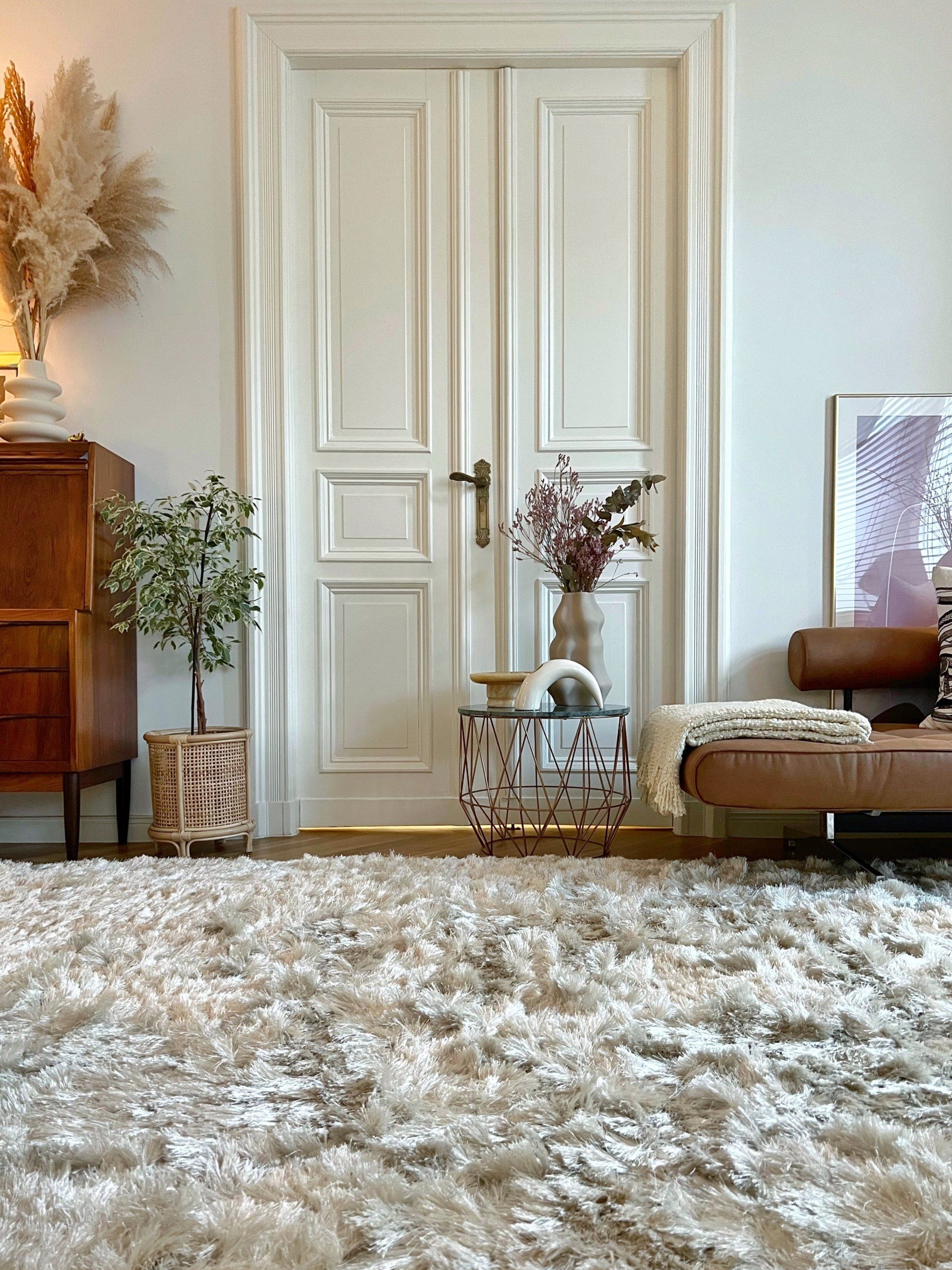 Cozy room with cream rug, white doors, wooden furniture, plants, and leather sofa.