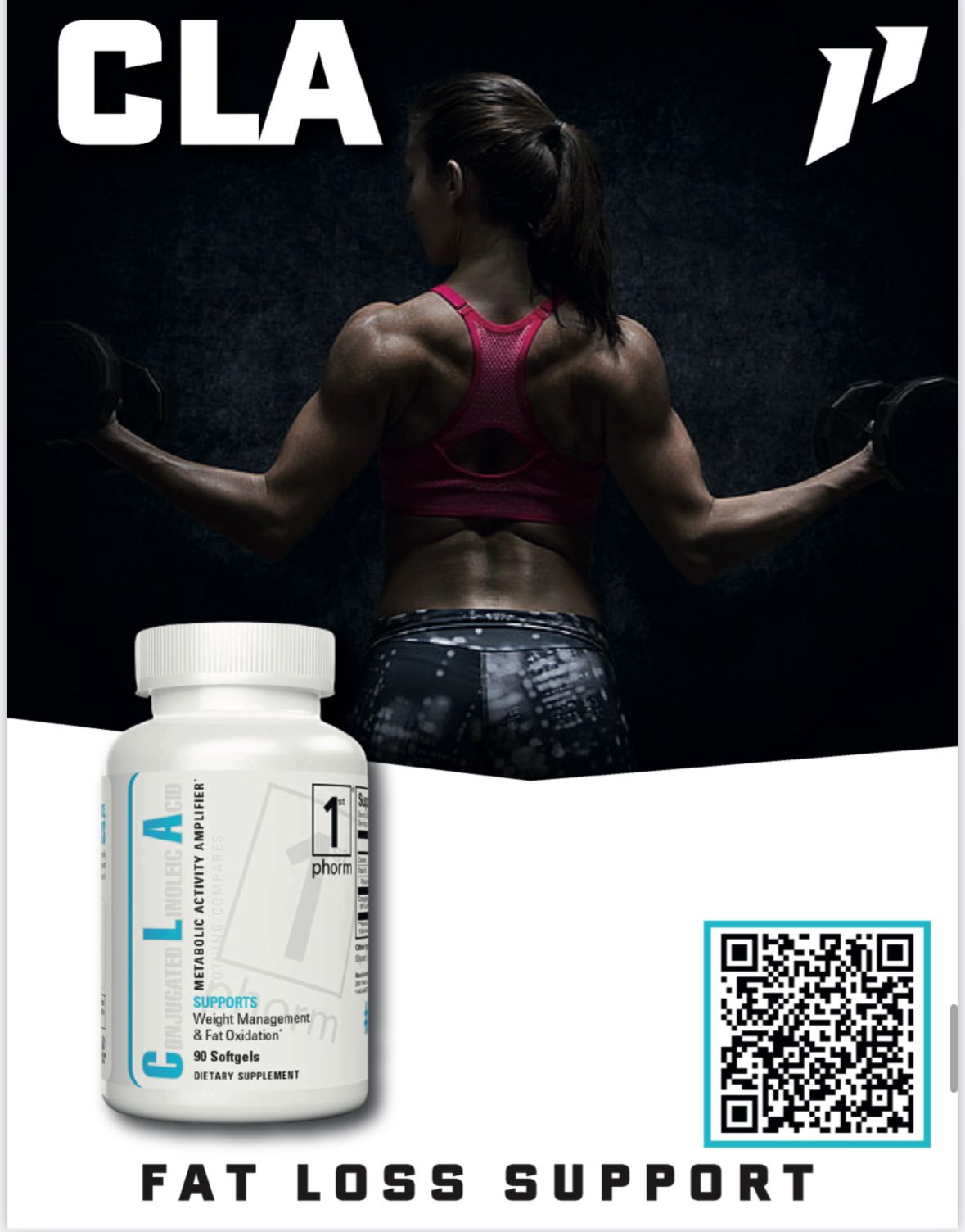 Cla Supplement - The Bronx, NY - Erector Masters