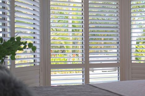 A window with shutters and a plant in front of it