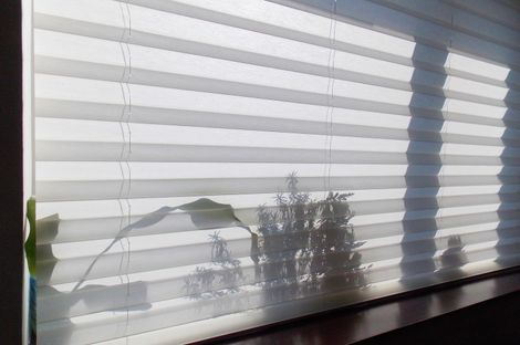 A window with blinds on it and a plant in front of it.