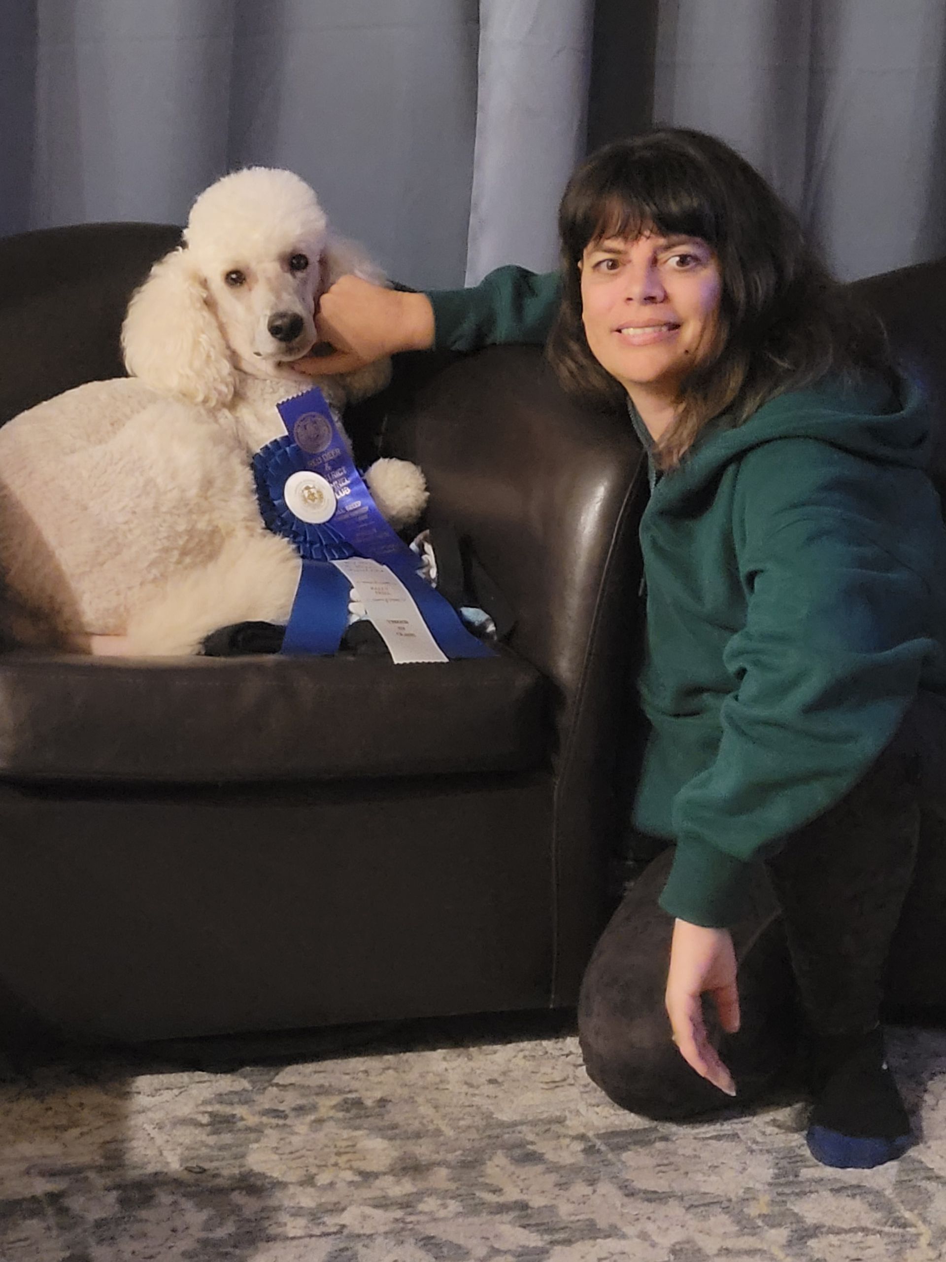 A person in a green hoodie kneels beside a white poodle sitting on a chair, both wearing a blue award ribbon.