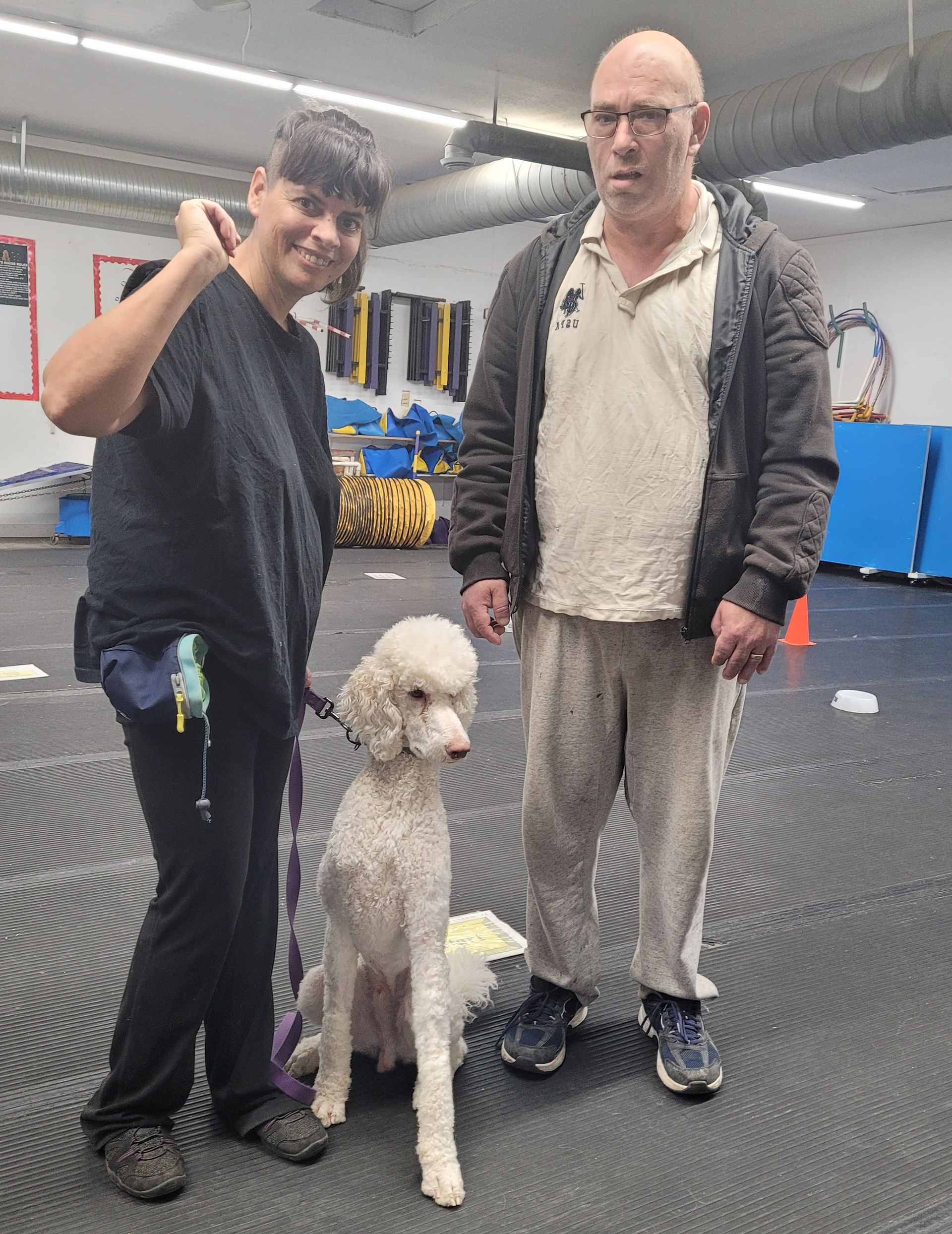 A person stands next to a white poodle and another person in an indoor training facility with blue equipment.