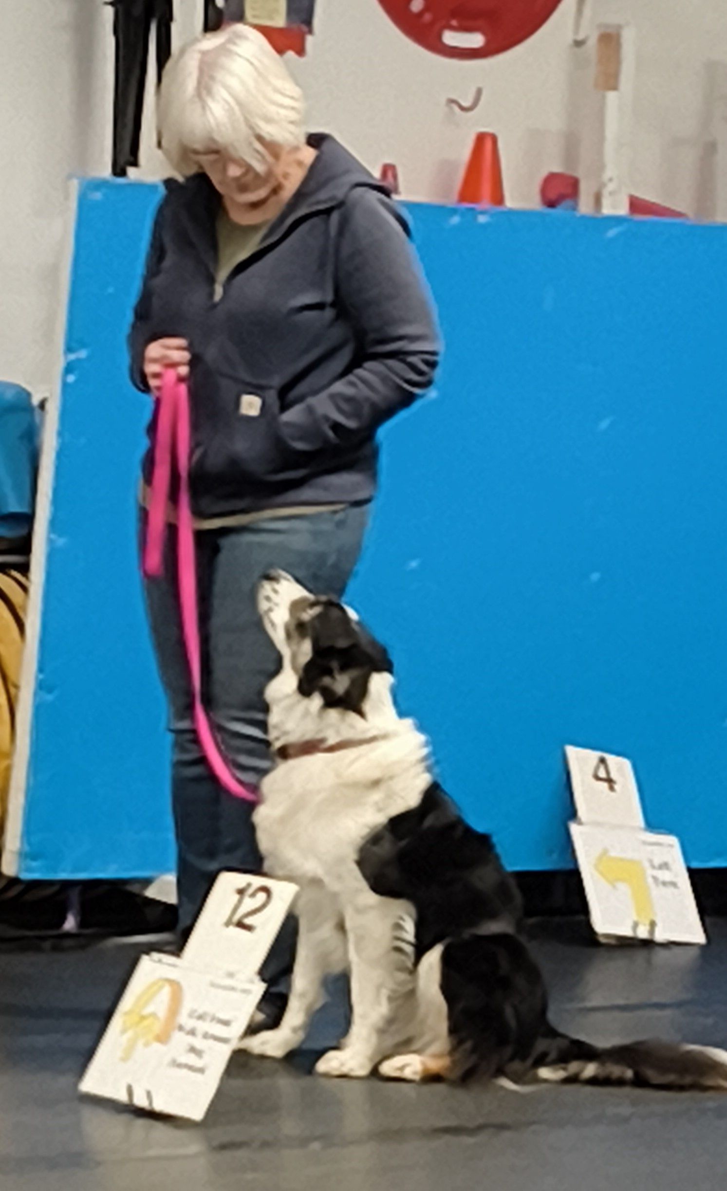 A person stands with a black and white dog in a sit-stay position during an indoor dog training or competition event.