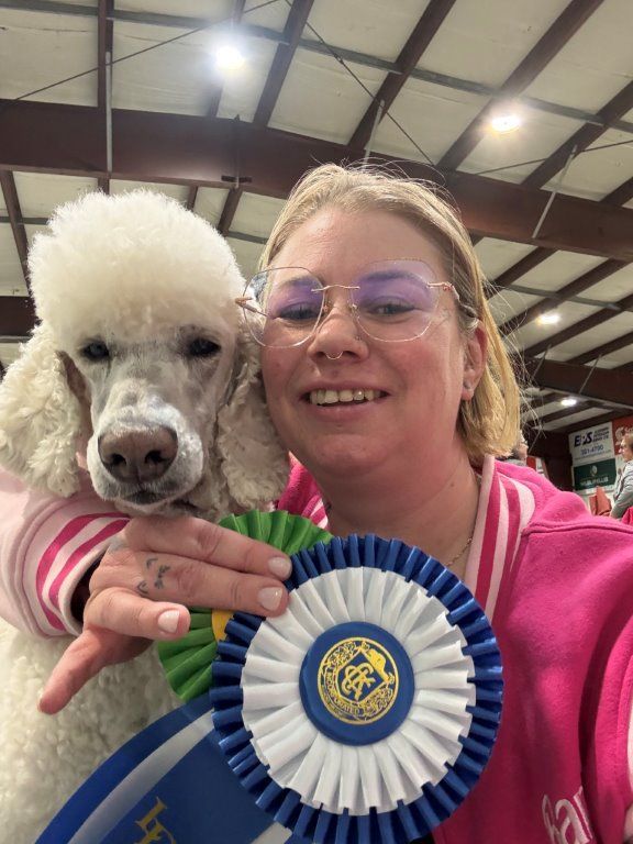 A person with blonde hair and glasses smiling next to a white poodle while holding blue and green award ribbons.