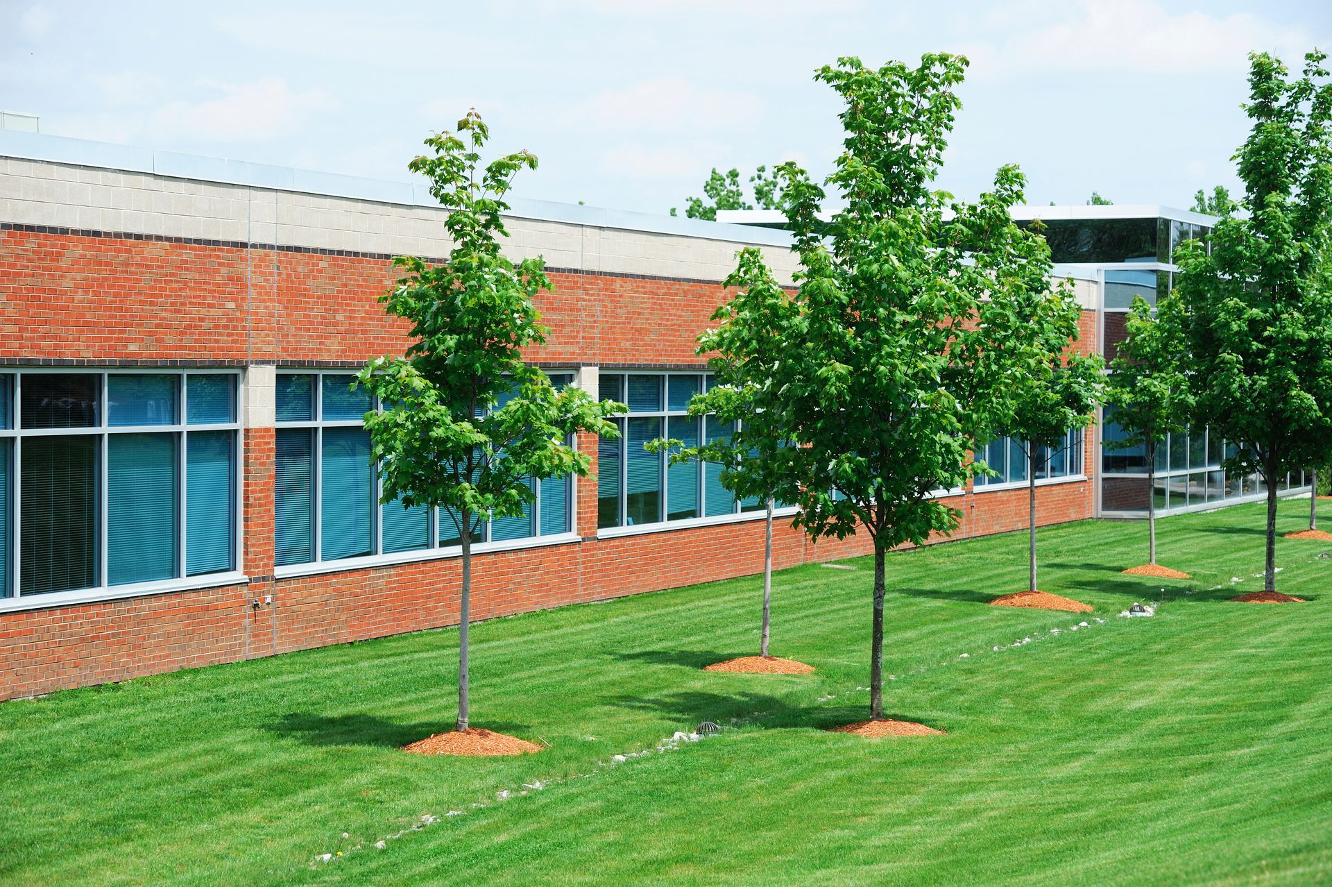 Brick school building with blue windows and young trees beside a green lawn