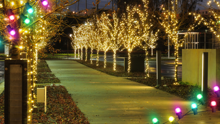 Pathway lined with trees covered in warm white lights and colorful accent lights at night.