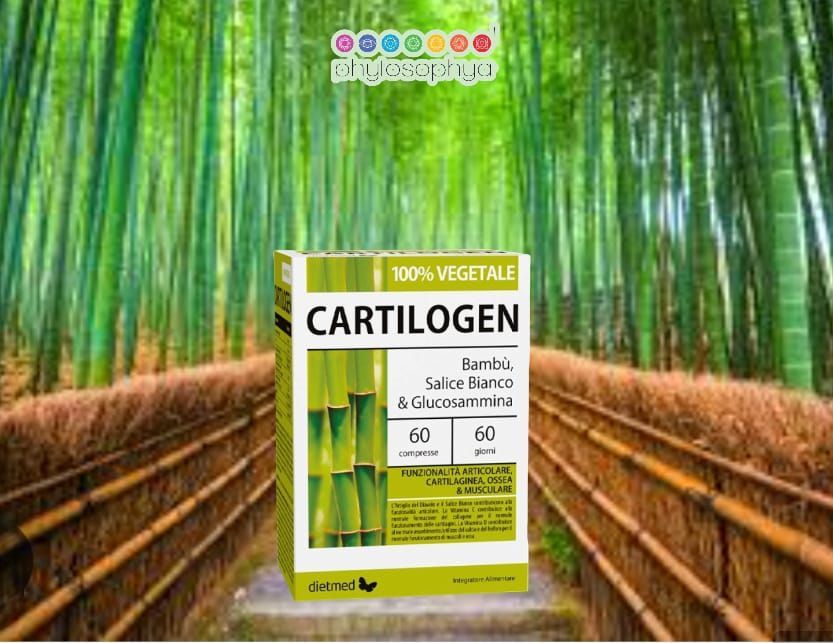 Cartilogen