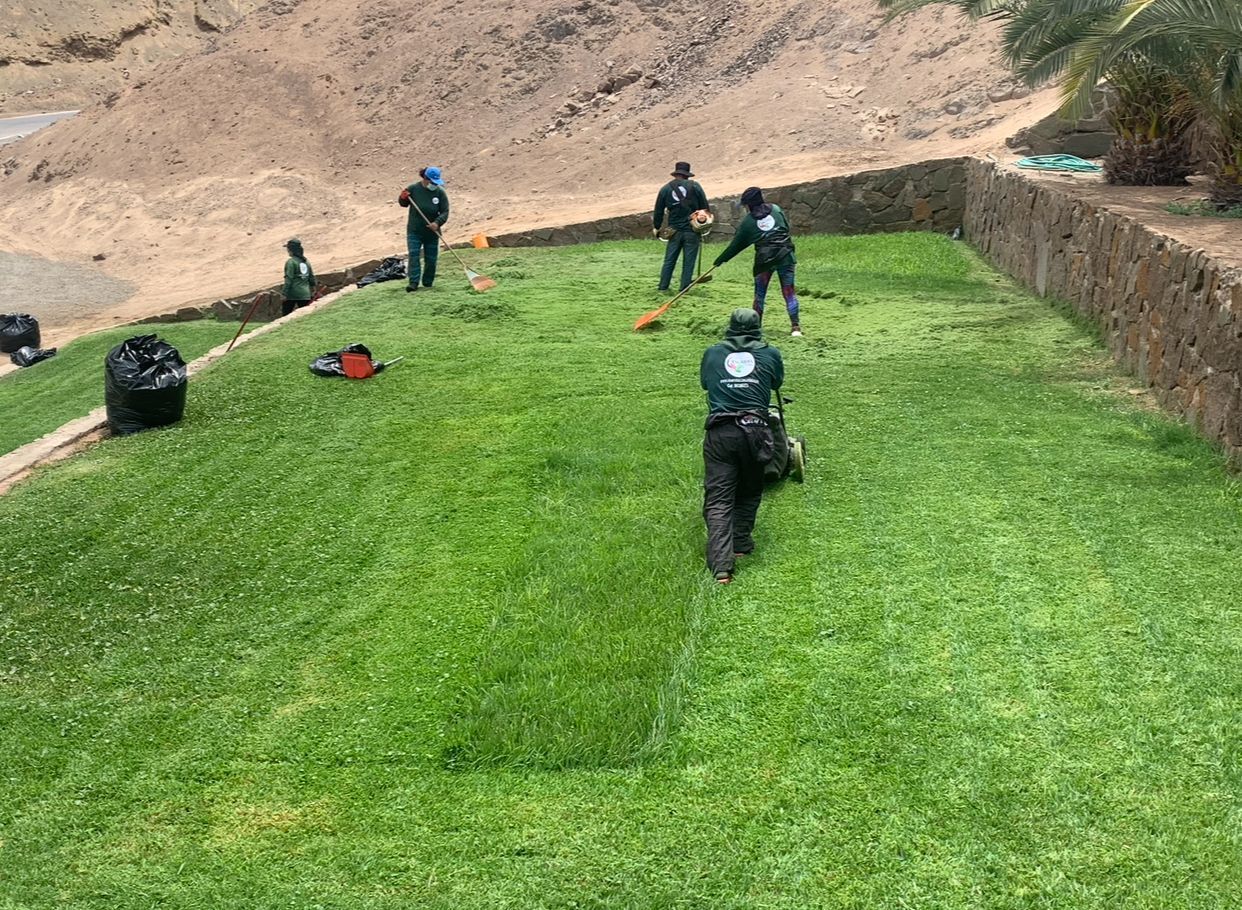 Mantenimiento de áreas verdes