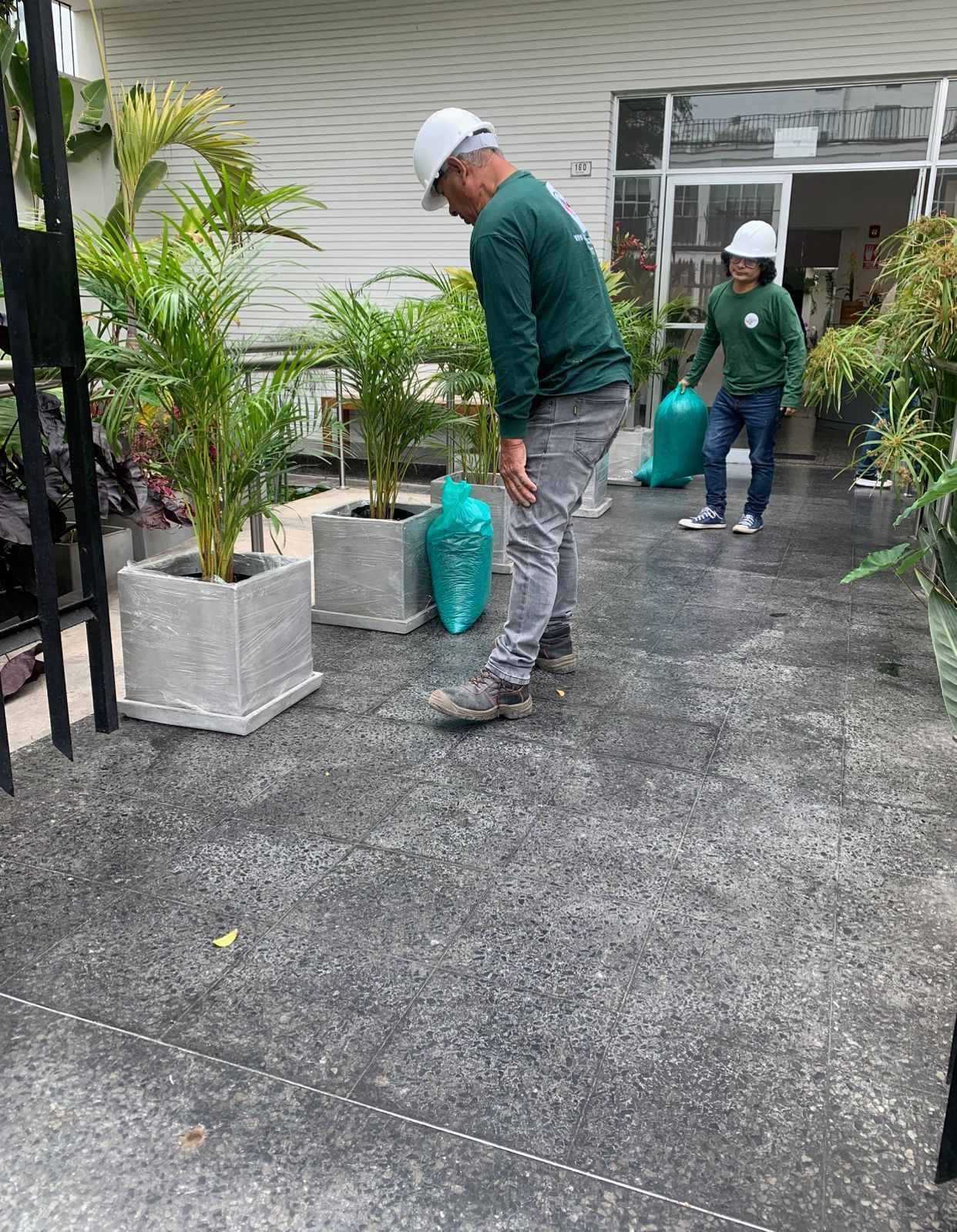 Alquiler de plantas para eventos