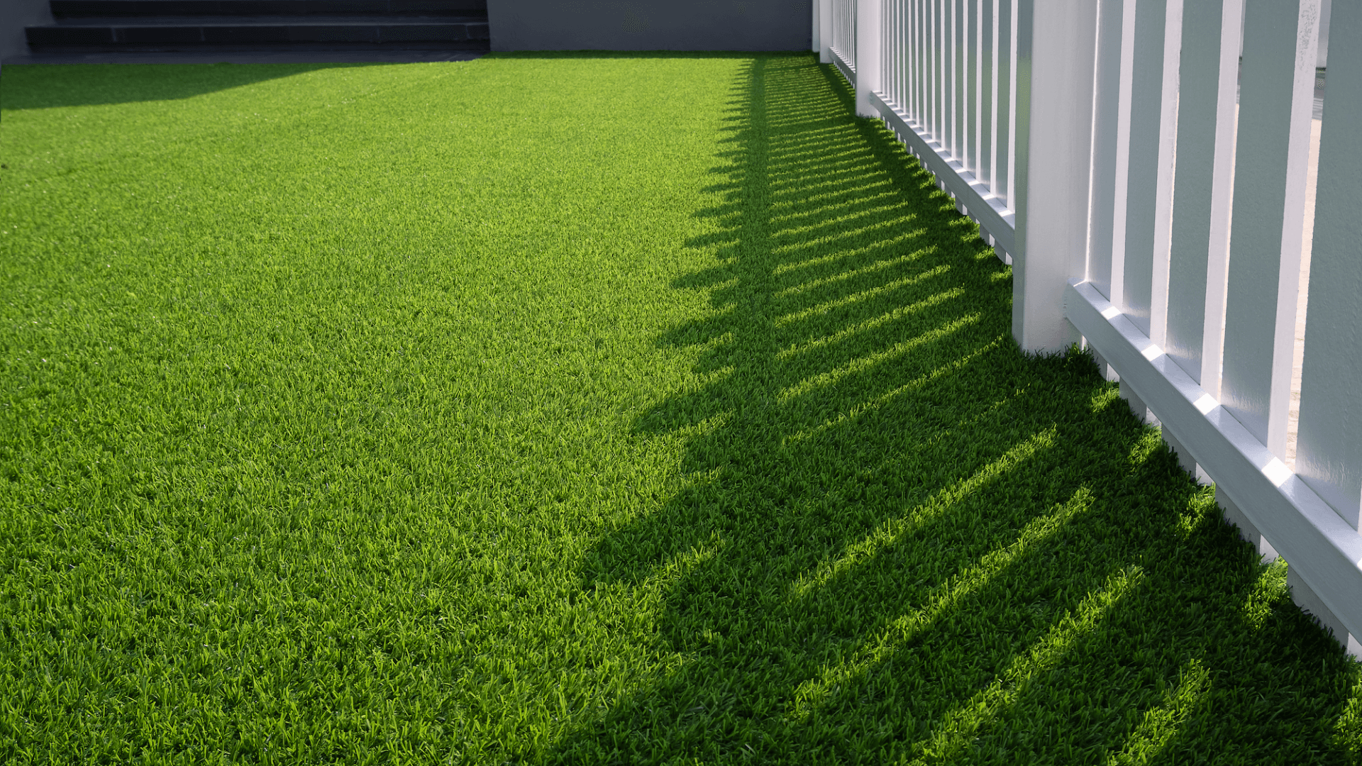 this backyard artificial turf in Scottsdale AZ is reflecting sunlight