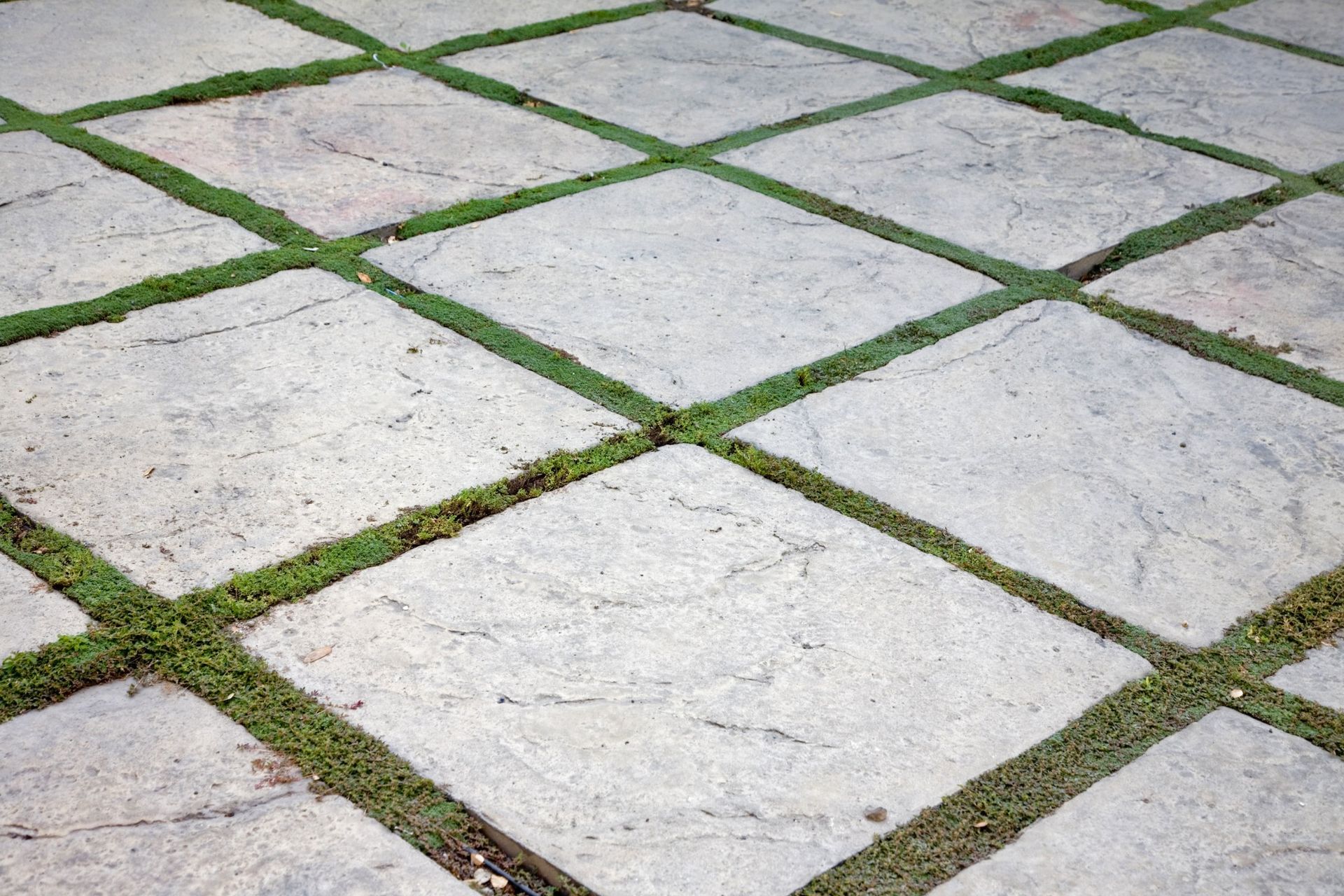 concrete pavers with grass installed between each