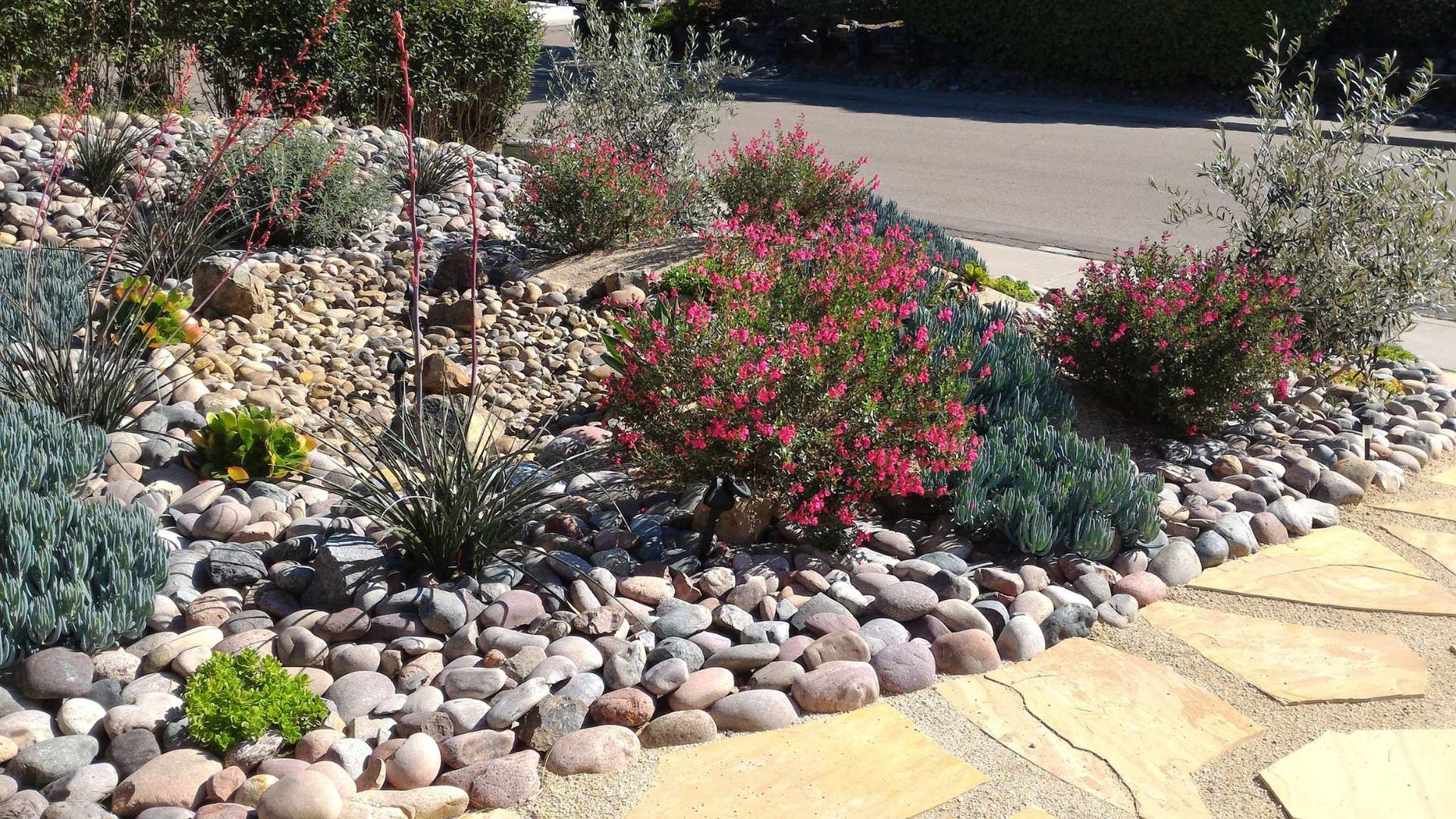 xeriscape garden with a paved pathway installed in a Scottsdale AZ residence