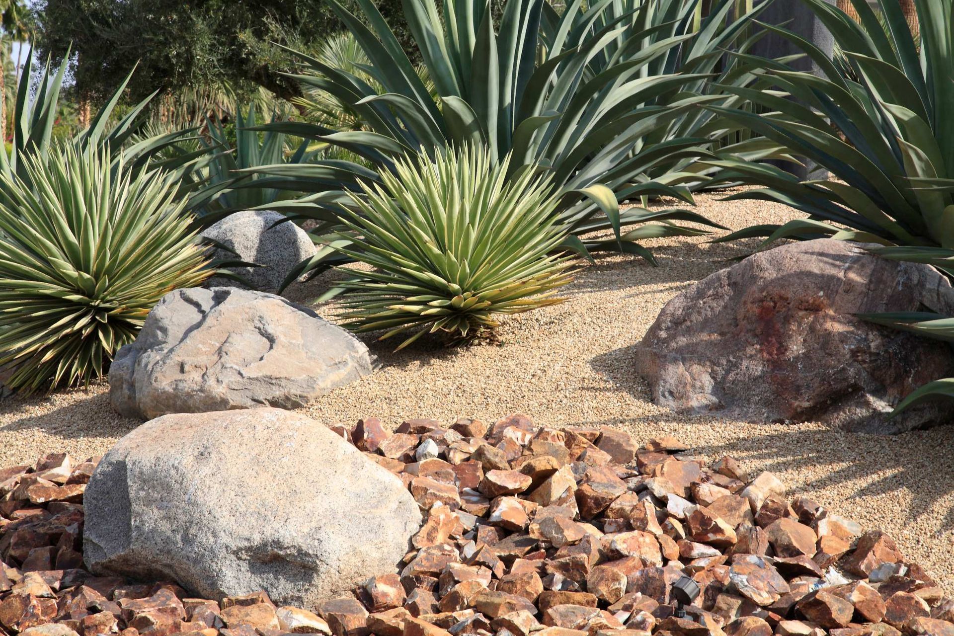 xeriscaping made out of rocks, succulents, and cacti