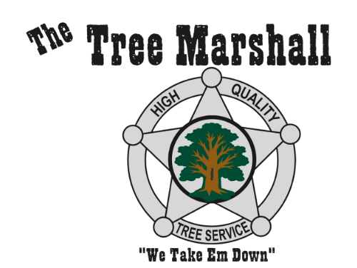 a logo for the tree marshall with a tree in the center