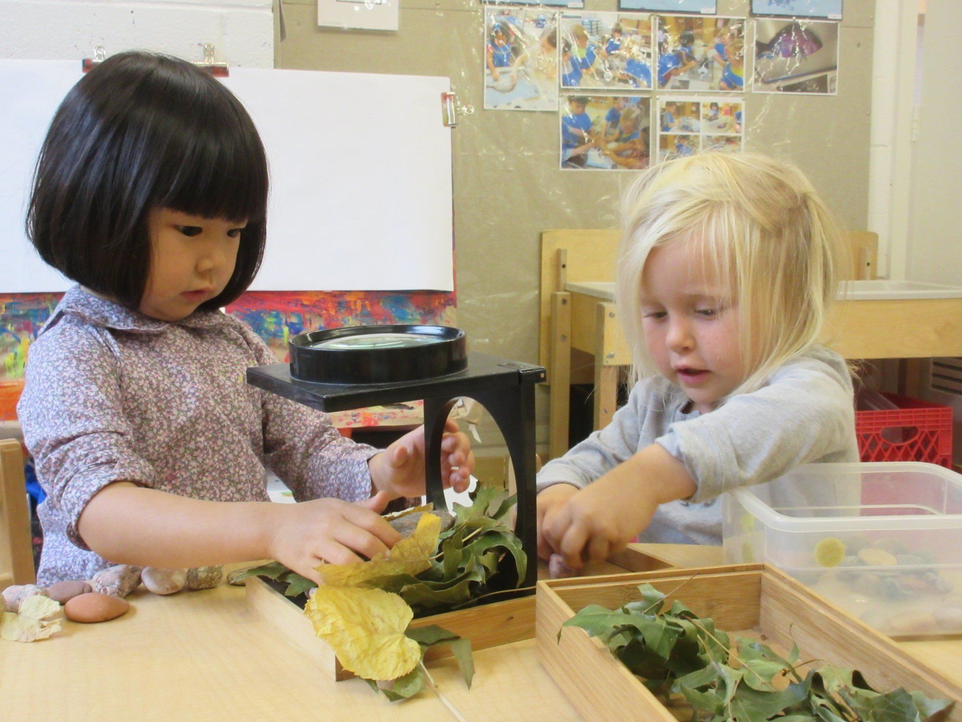 Gallery of students at FPCNS