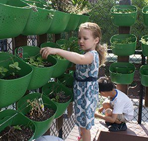 students growing healthy food