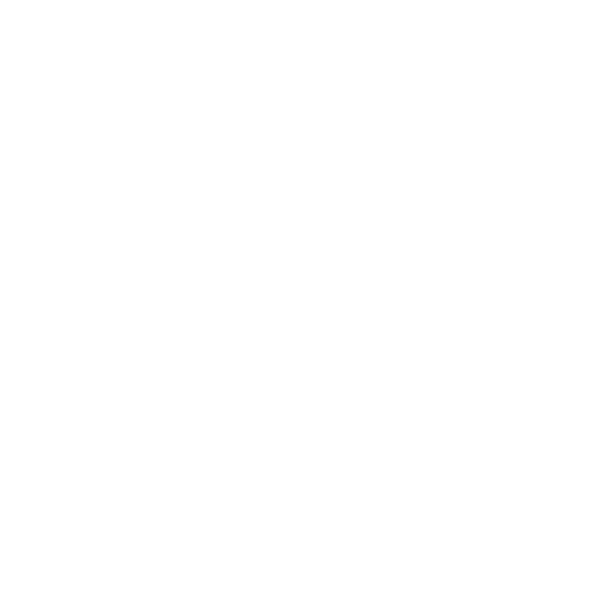 הובלות בדרכי נועם לוגו