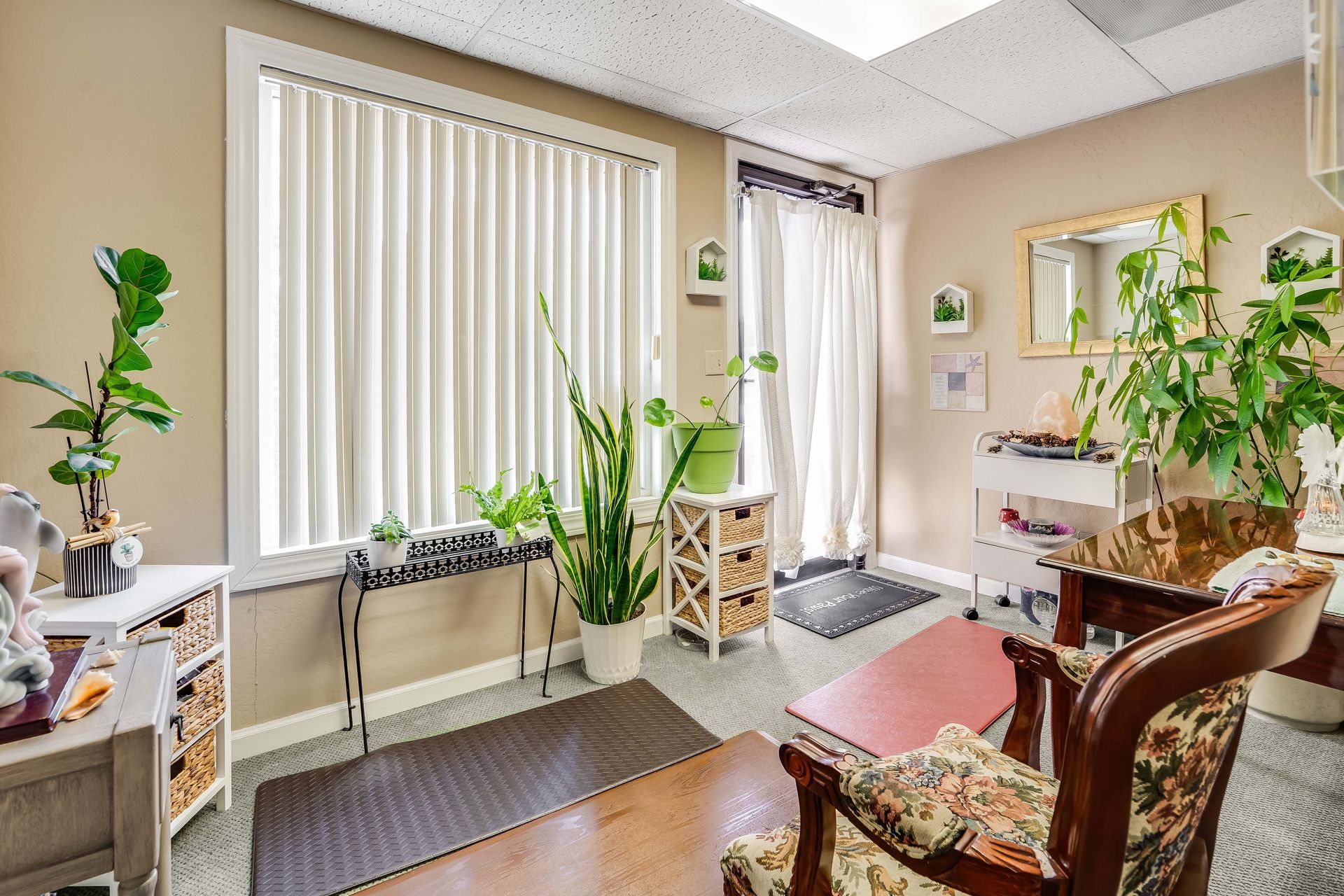 Cozy room with plants, a window with blinds, and an open door.