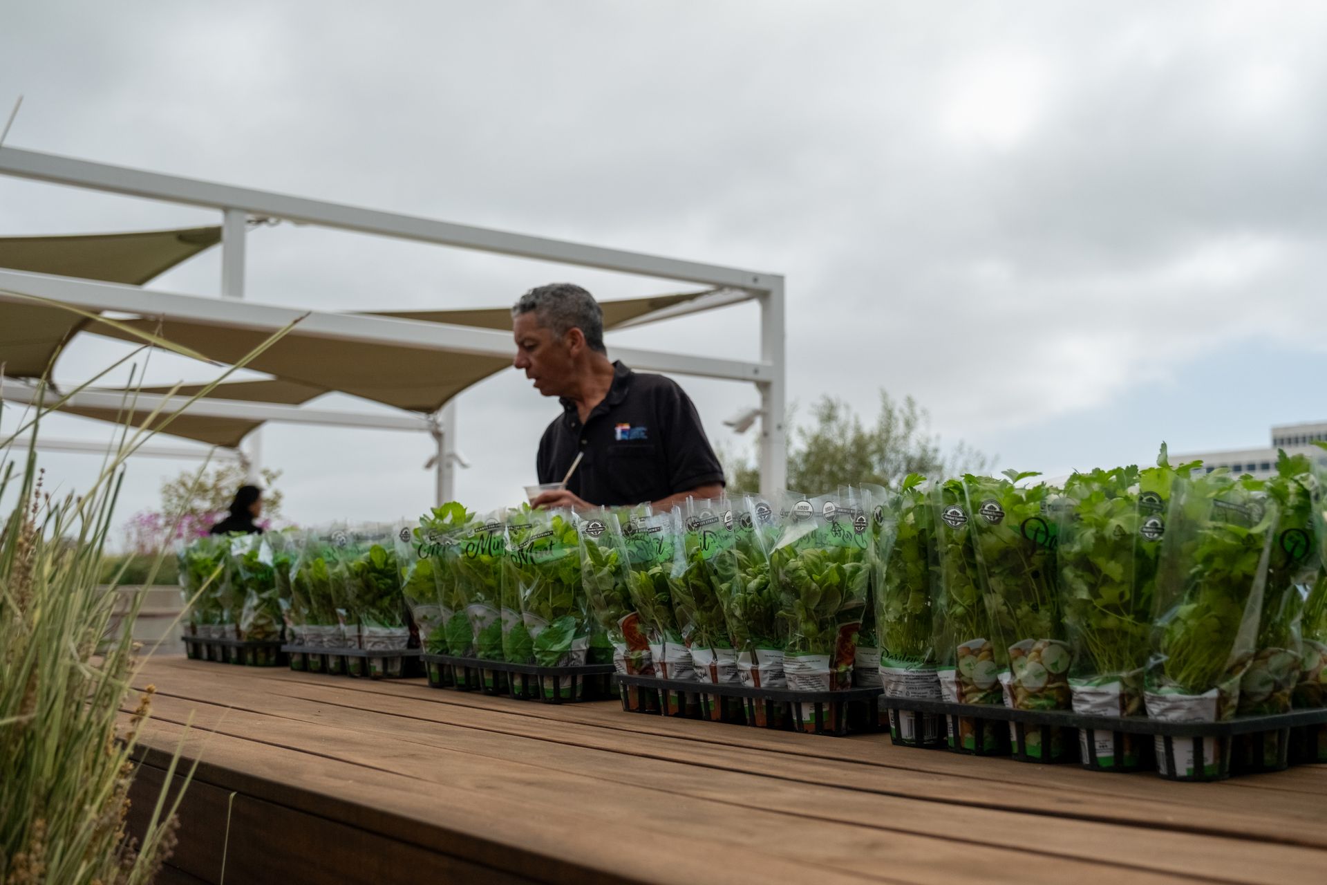 Man examining packaged plants on a table outdoors under a white pergola, cloudy sky.