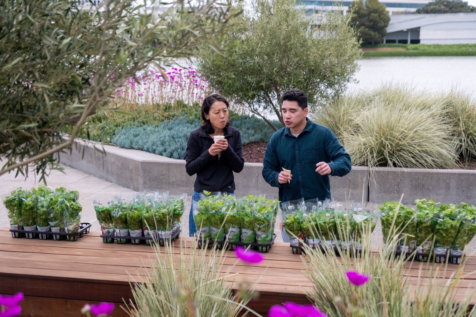 Two people beside rows of basil plants outdoors. One holds a phone, the other gestures.