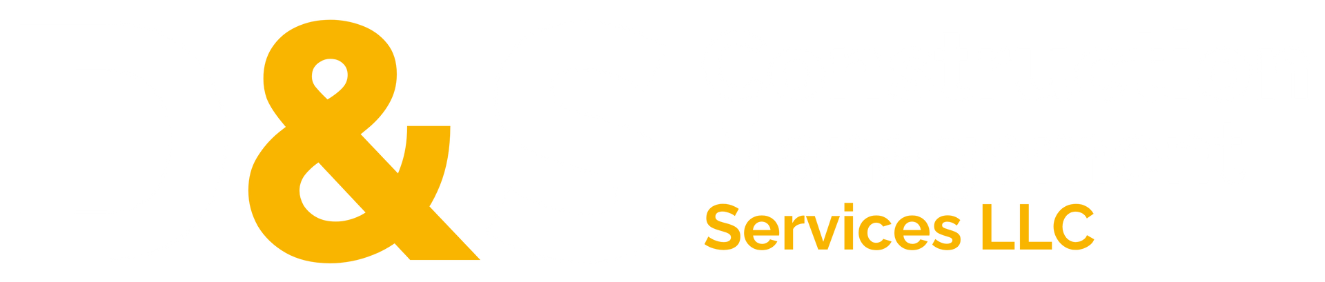 D&S Construction Management Services LLC logo