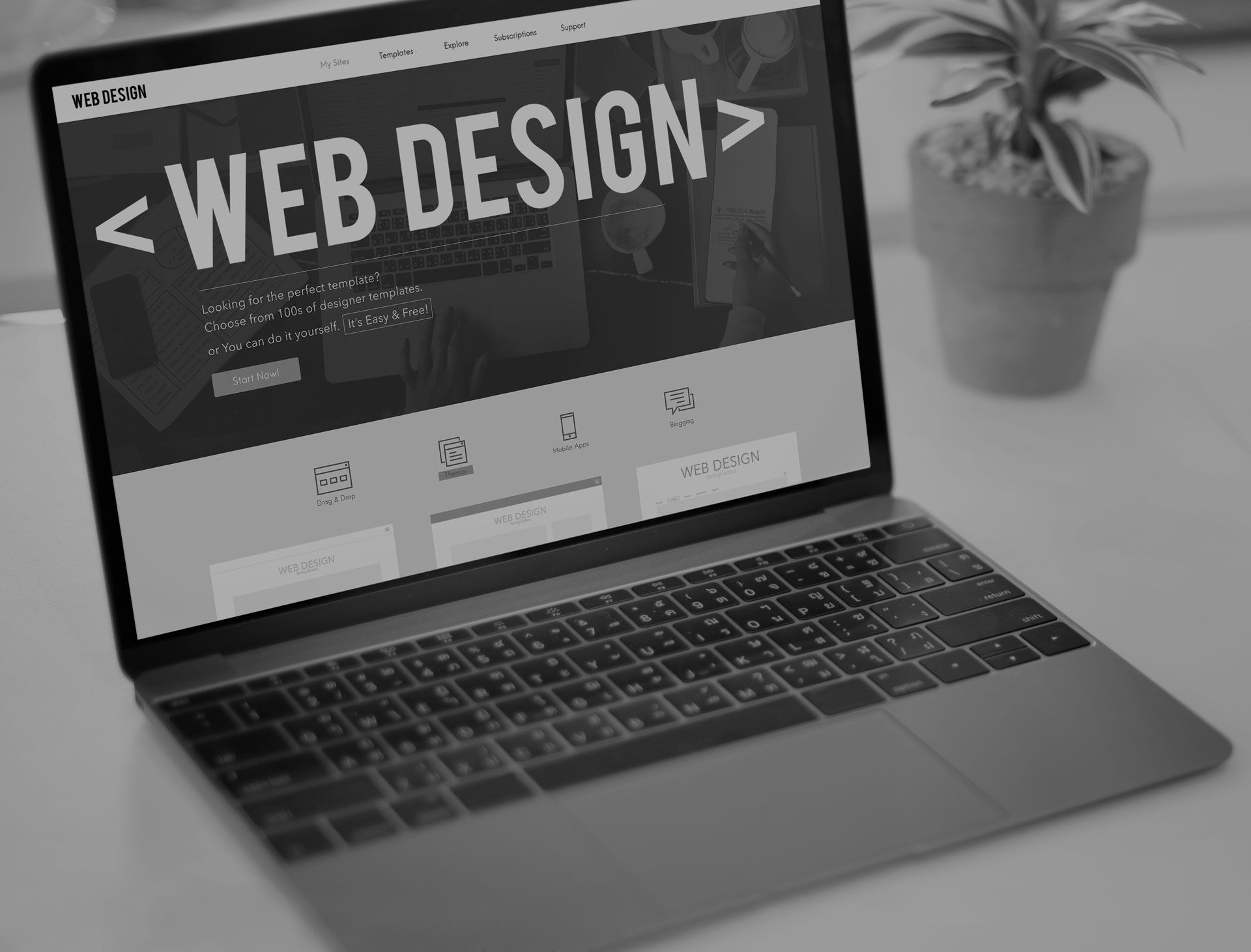 Website development