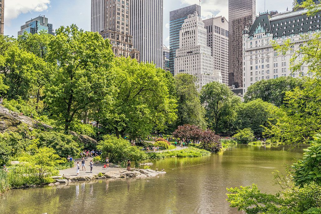 A park in NY