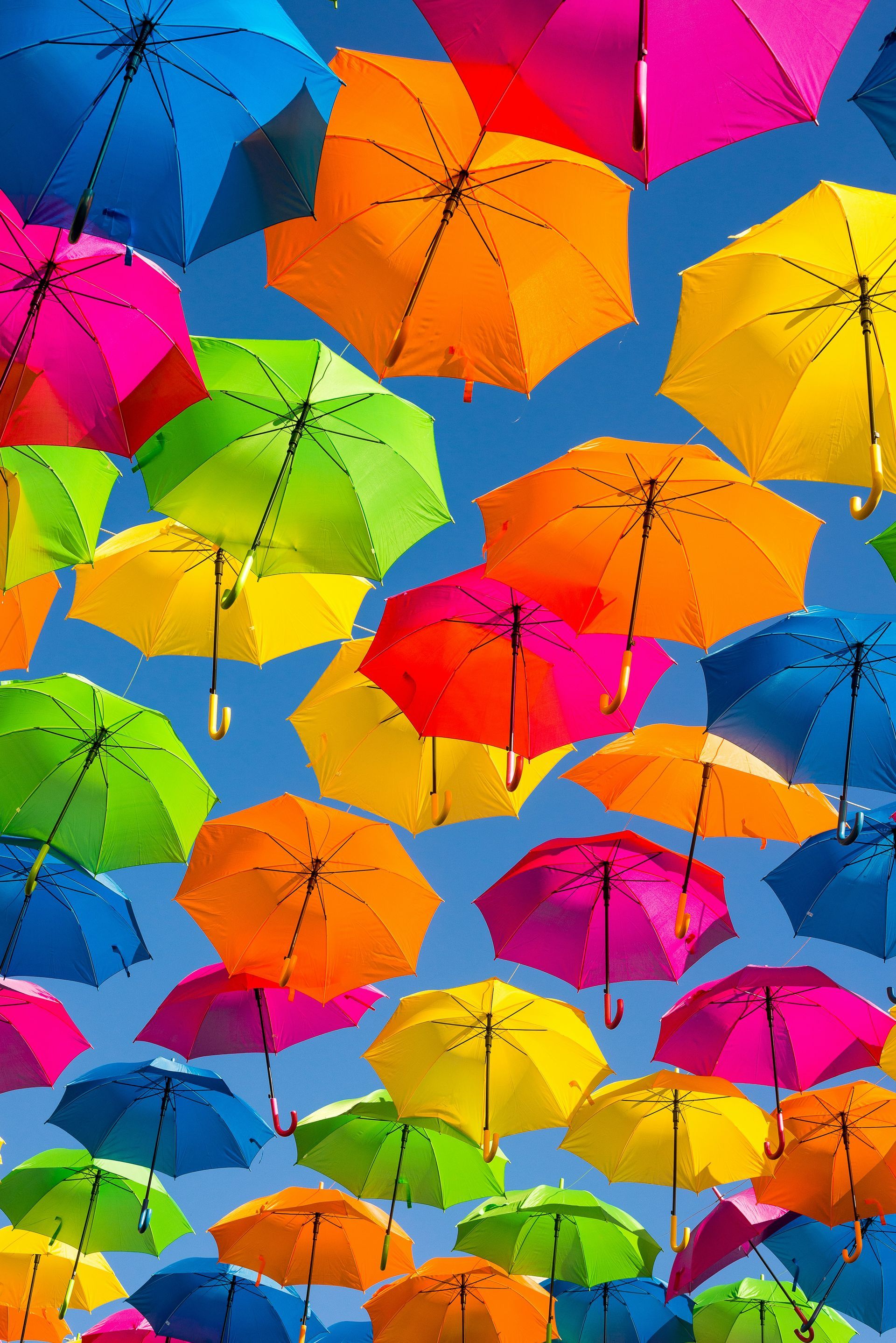 Umbrella in various colors