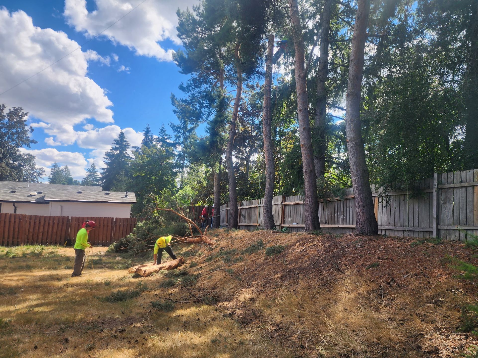 A man in a neon yellow shirt is standing next to a tree stump grinder.