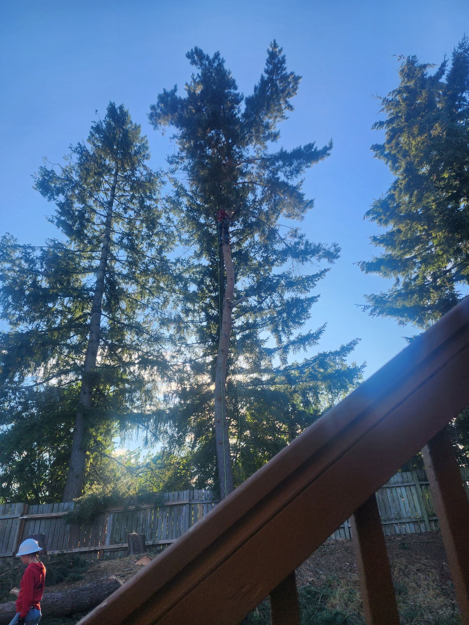 A person standing in front of a fence with trees in the background