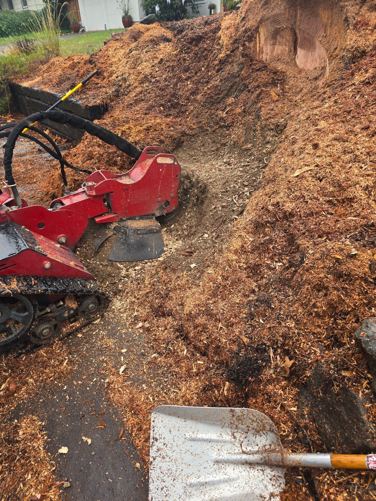 A shovel is sitting next to a pile of wood chips.