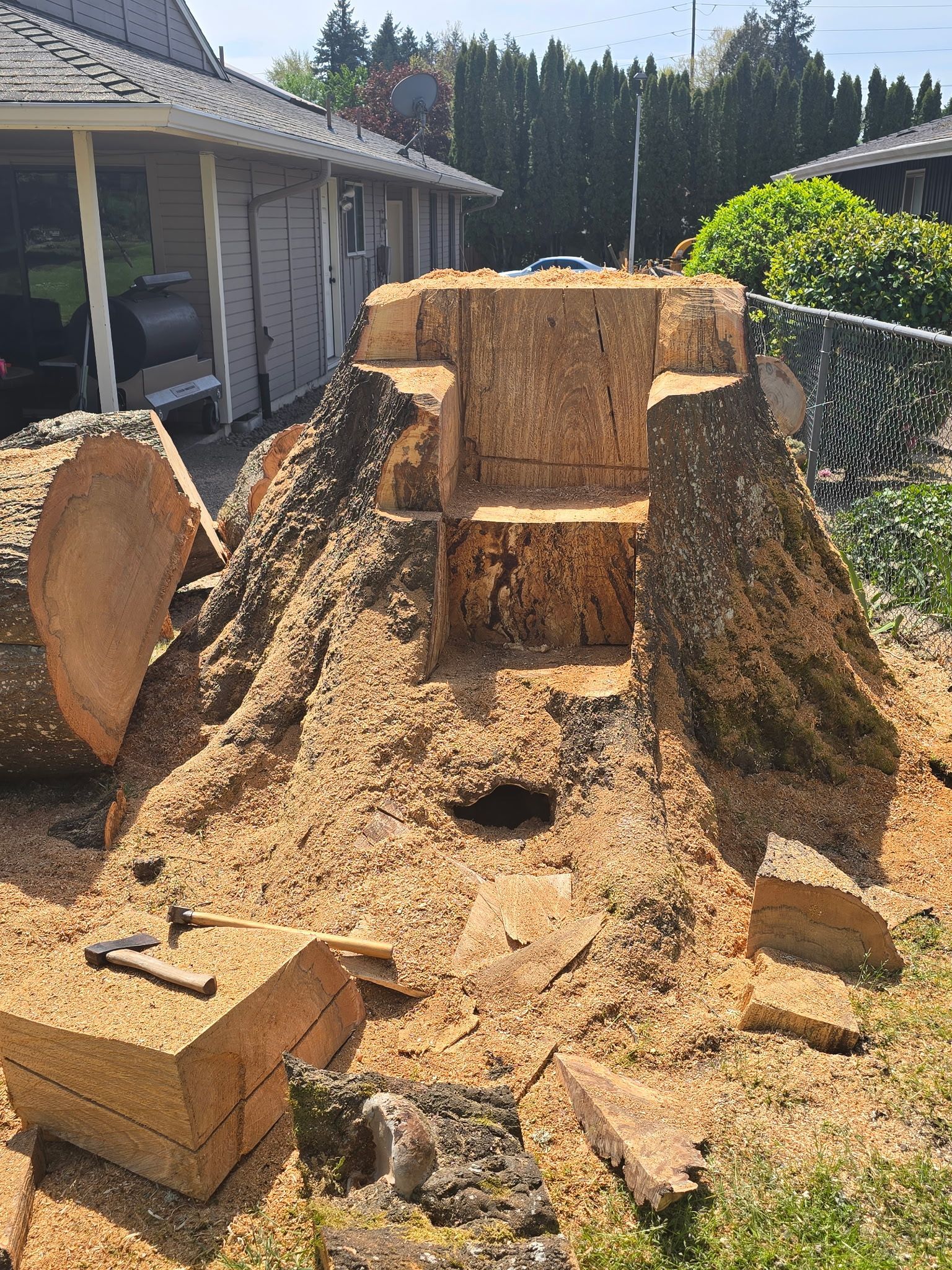 A man wearing a hard hat and a yellow vest with the word forest on it