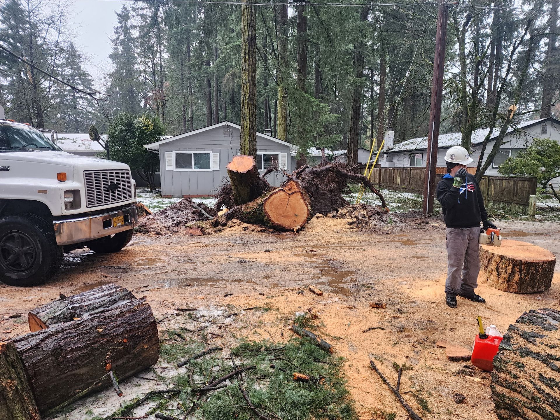 A white truck is parked in the middle of a snowy forest.