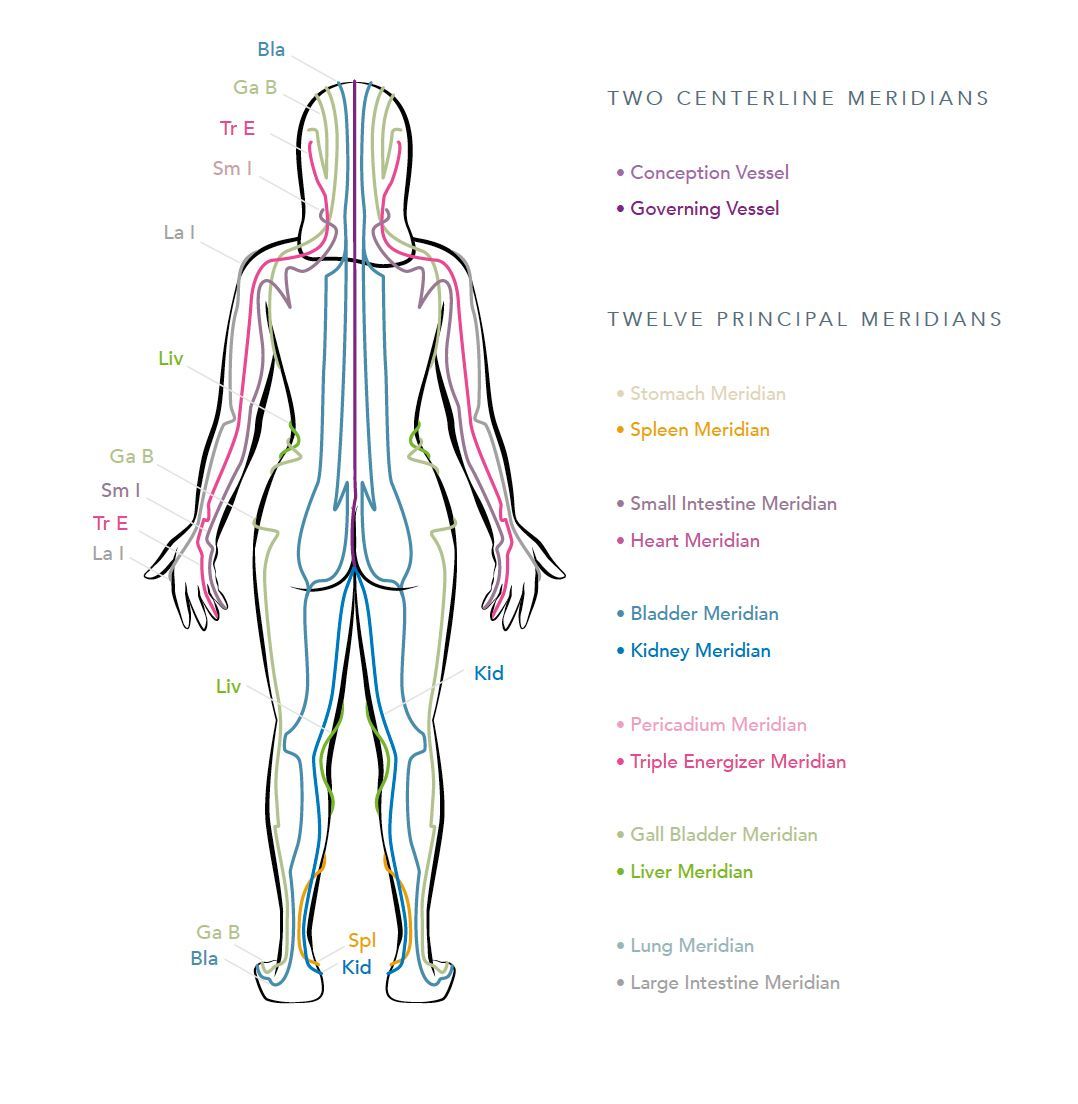 Diagram of the Yin Yoga Meridian Lines