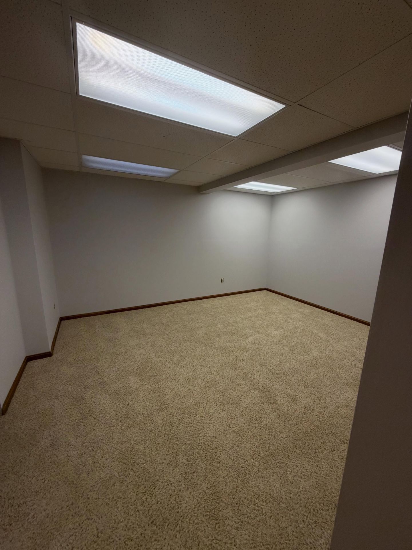 Empty office room with beige carpet, white walls, and fluorescent ceiling lights.