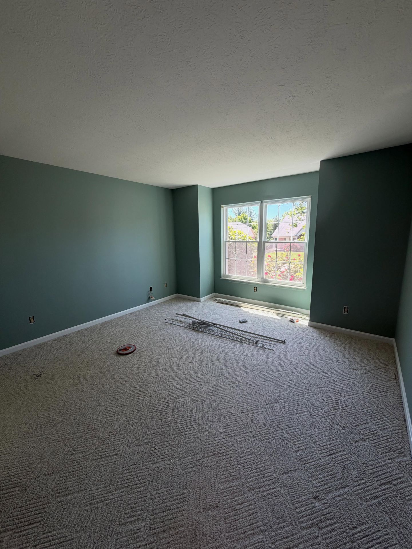 Empty carpeted room with teal walls and a bright window overlooking trees