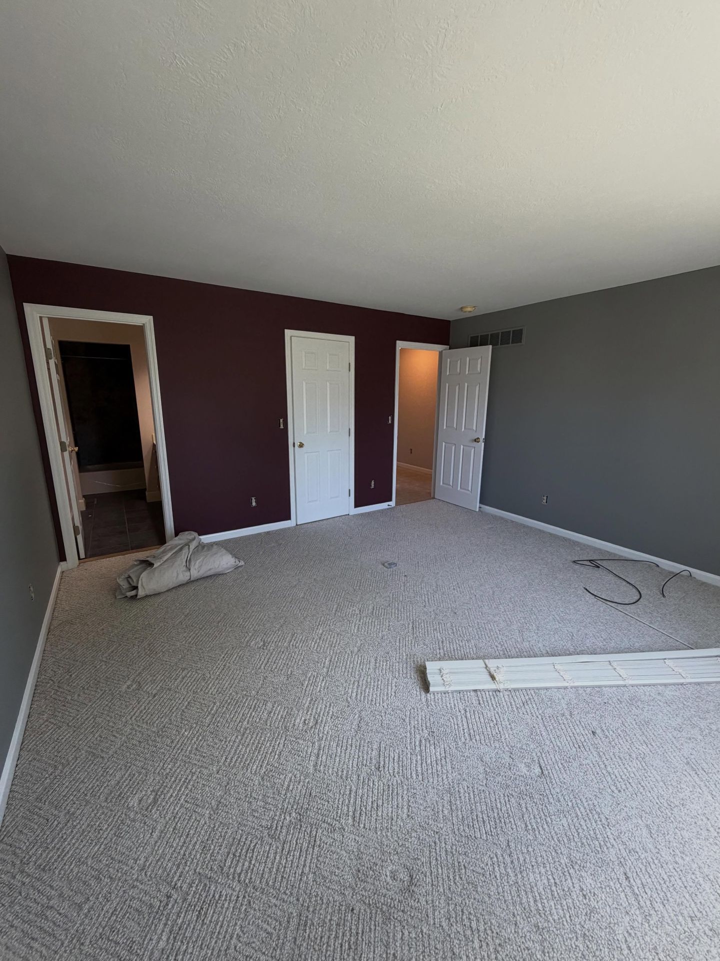 Empty carpeted bedroom with maroon and gray walls, white doors, and daylight from a doorway.
