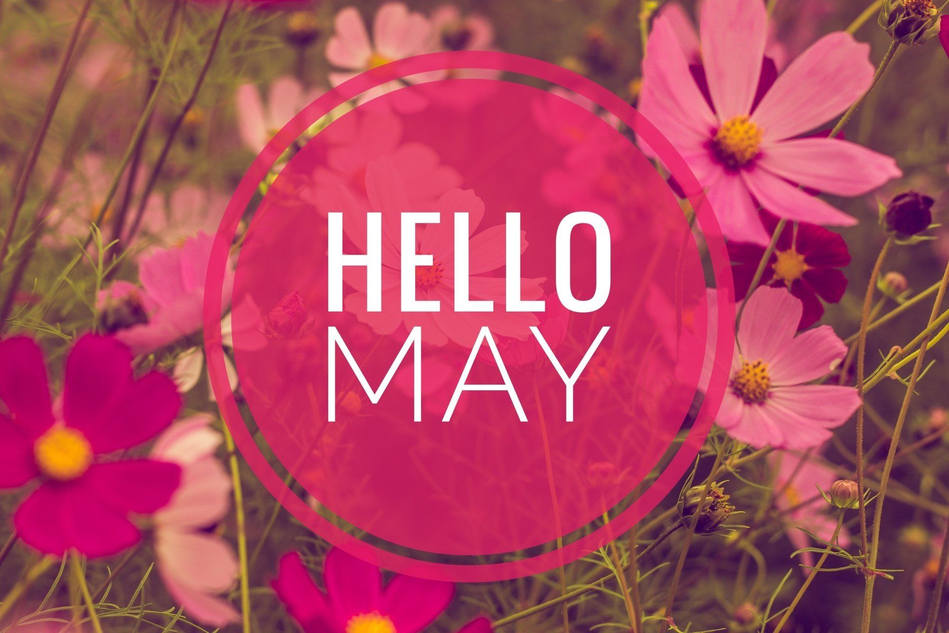 Картинки с надписью hello may