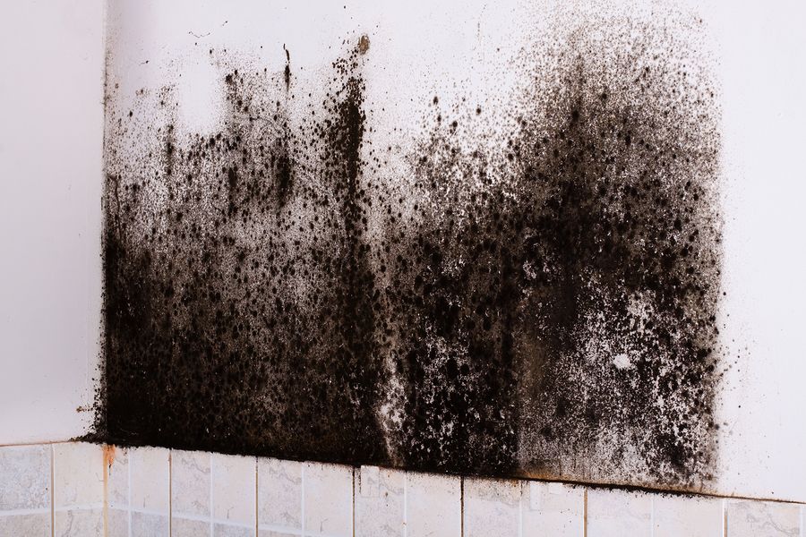 There is a lot of black mold on the wall.