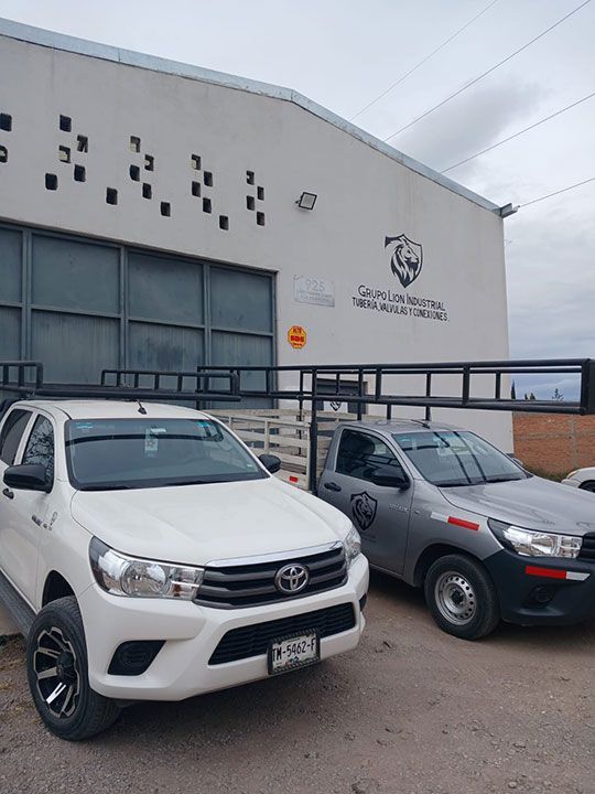 GRUPO LION