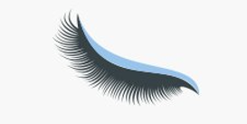 Eine Nahaufnahme eines Wimpernpaars auf weißem Hintergrund.