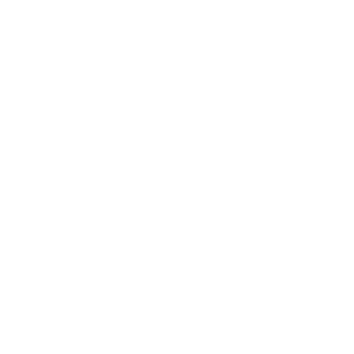 capex logo