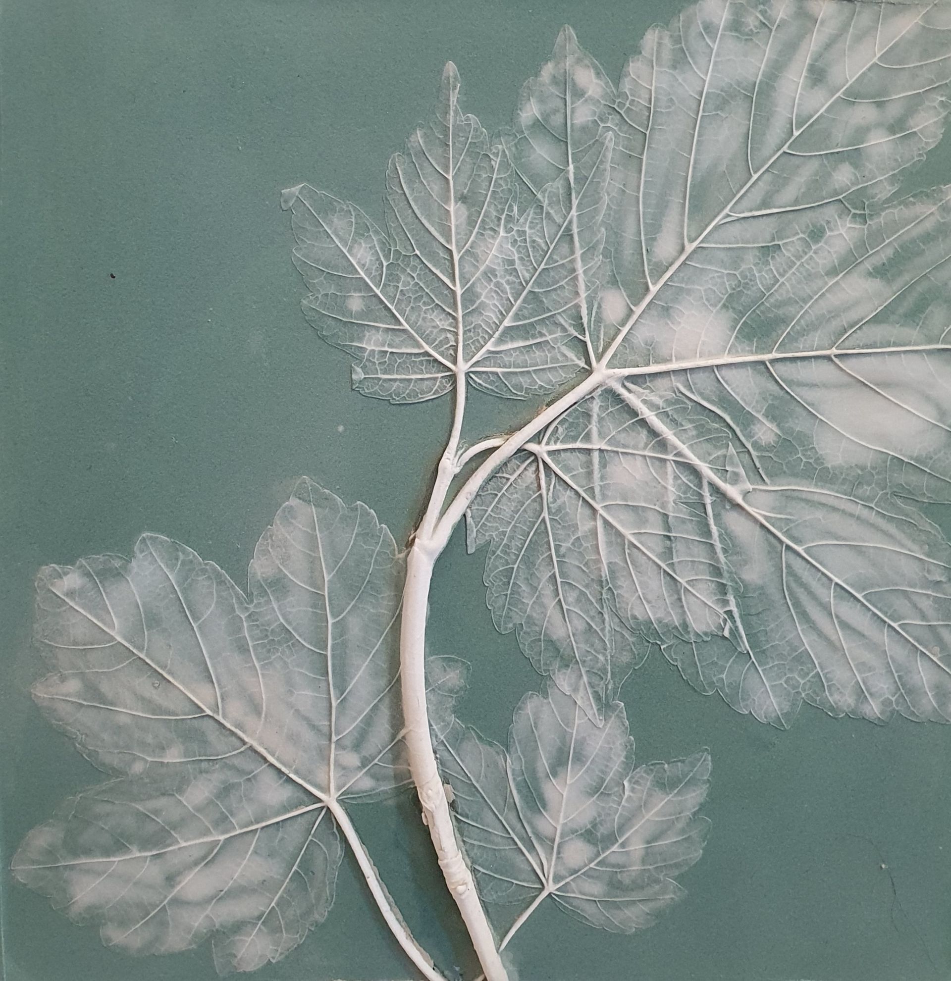 Pattie Knight Botanicals