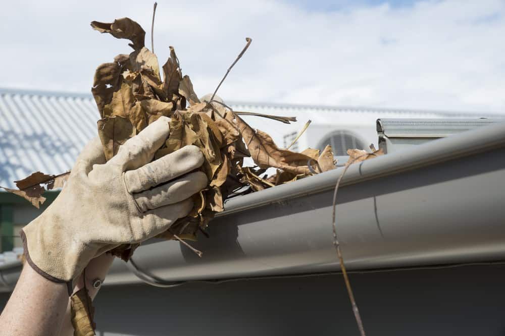 A Person is Cleaning a Gutter With Leaves — South Coast Pressure Washer in Kiama, NSW