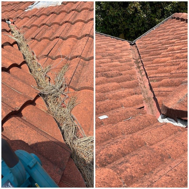 A Before and After Picture of a Tile Roof Being Cleaned — South Coast Pressure Washer in Warilla, NSW