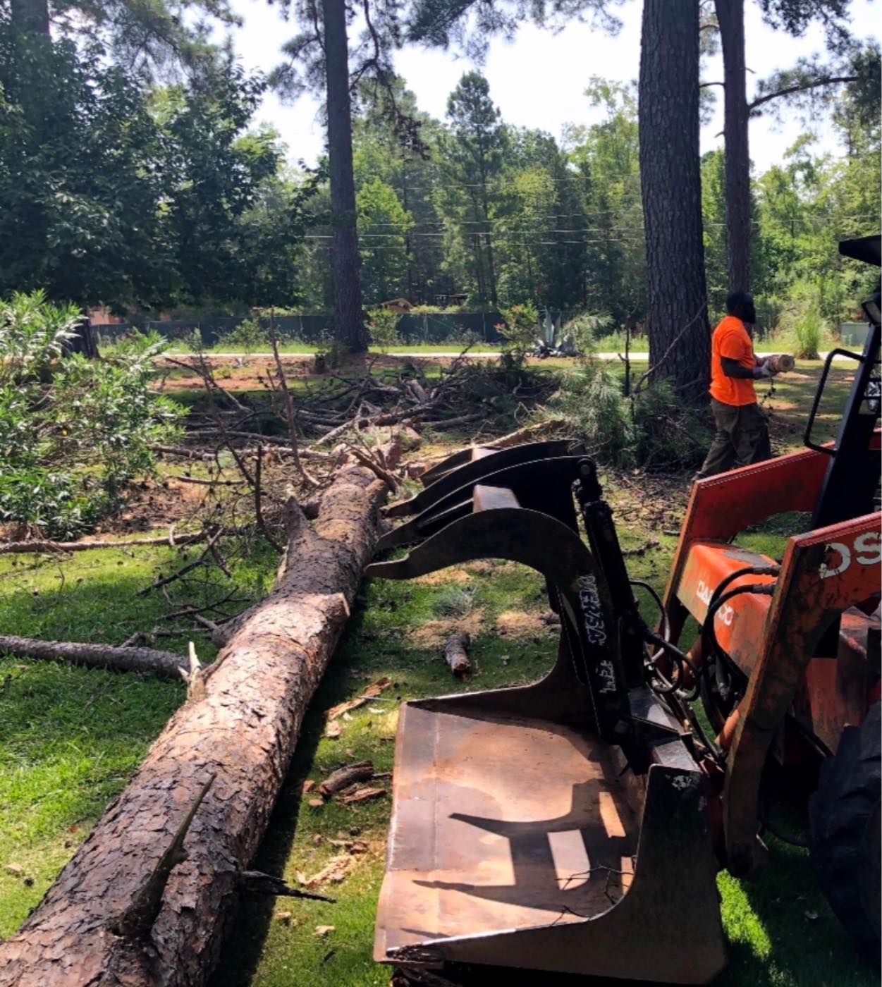 A man operating heavy machinery to move a fallen tree in a wooded area.