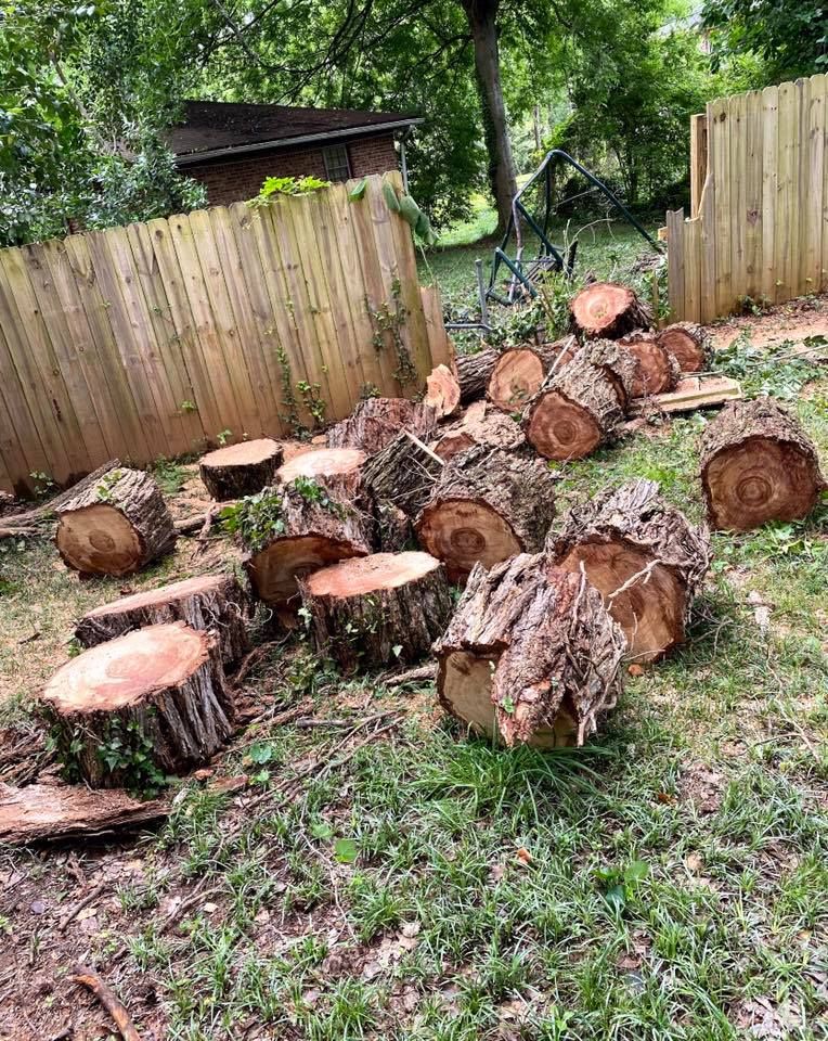 Cut tree logs on grass near a wooden fence.