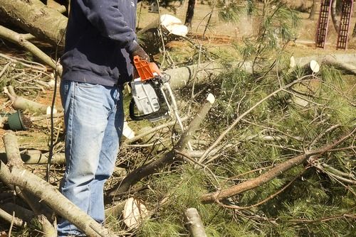 Man in jeans and sweatshirt using a chainsaw to cut fallen tree branches in a wooded area.